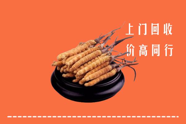 高价求购：桐城市回收散虫草